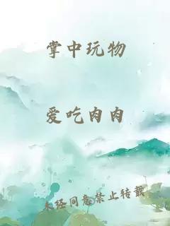 掌中玩物