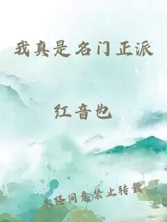 我真是名门正派