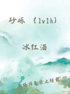 砂砾 (1v1h)