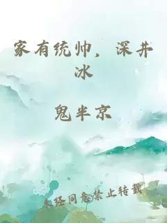 家有统帅,深井冰