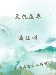 天机道尊