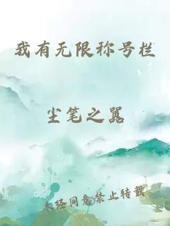 我有无限称号栏