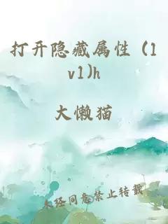 打开隐藏属性 (1v1)h