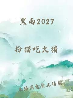 黑雨2027