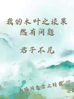 我的木叶之旅果然有问题