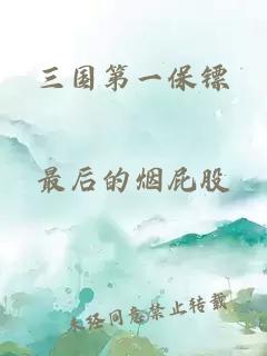 三国第一保镖