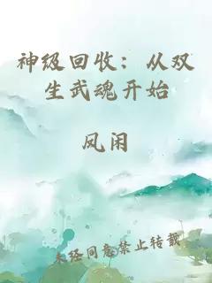 神级回收:从双生武魂开始