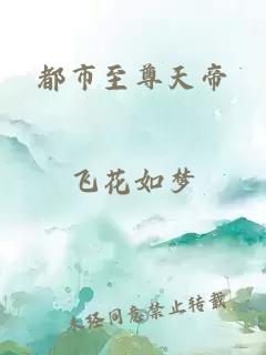 都市至尊天帝