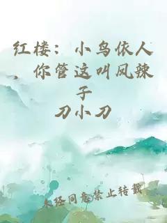 红楼:小鸟依人,你管这叫凤辣子